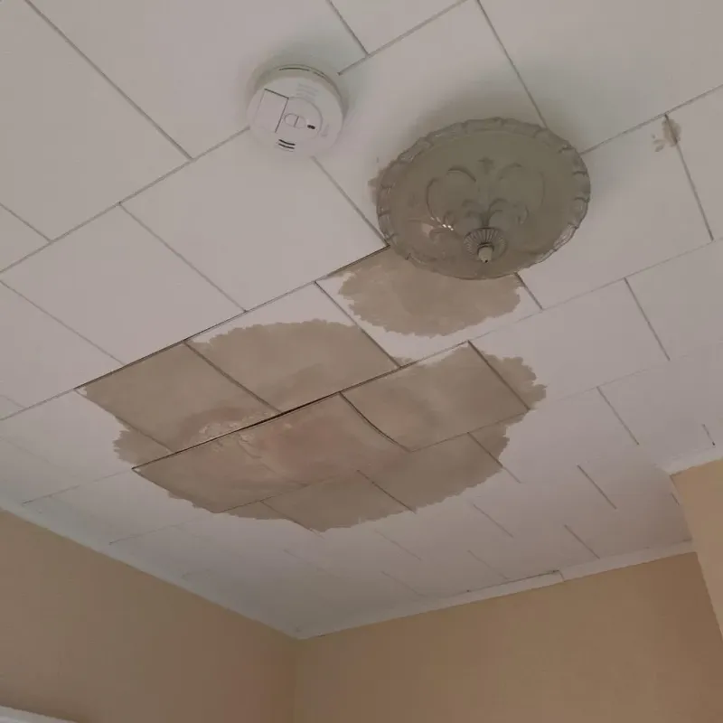 Ceiling Water Damage Repair in South Woodstock, CT