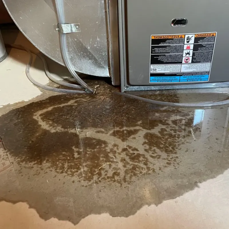Pipe Burst and Leak Restoration in South Woodstock, CT