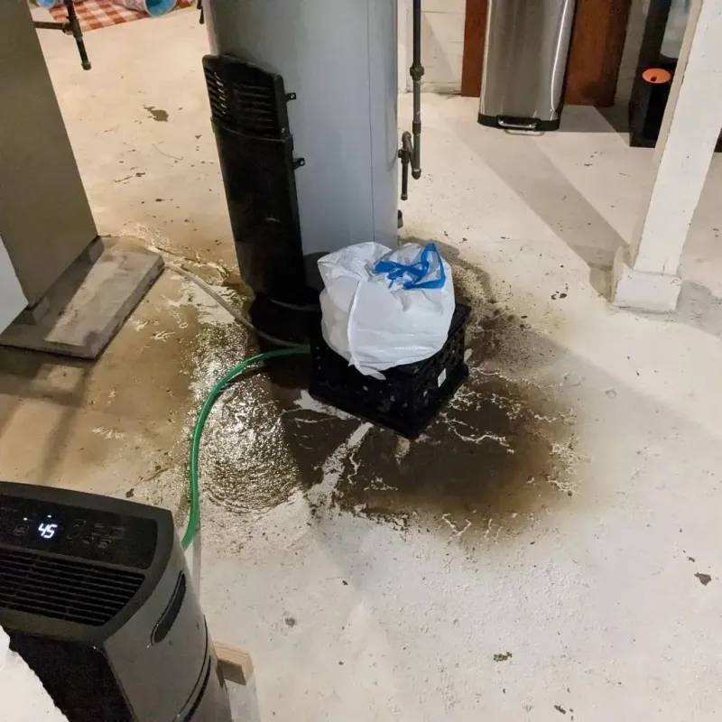 Sewage Backup Cleanup Service in South Woodstock, CT